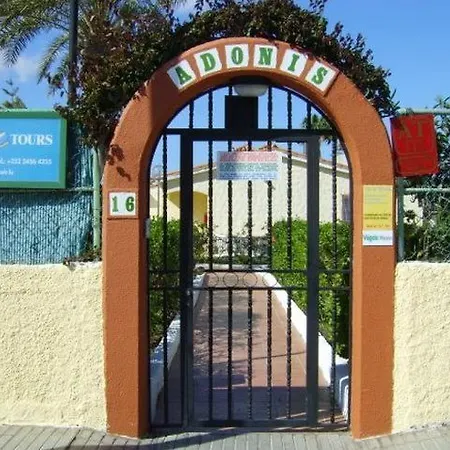 Apartment Adonis